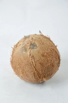 Coconut Stock Photos