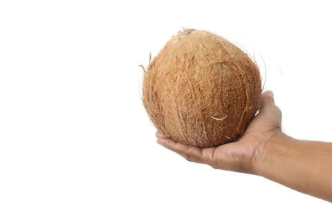 Coconut Foto stock
