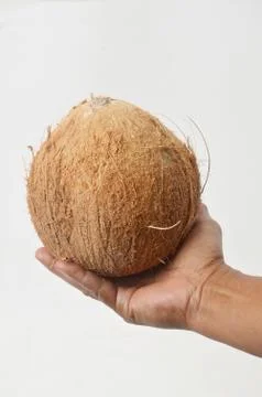 Coconut Stock Photos