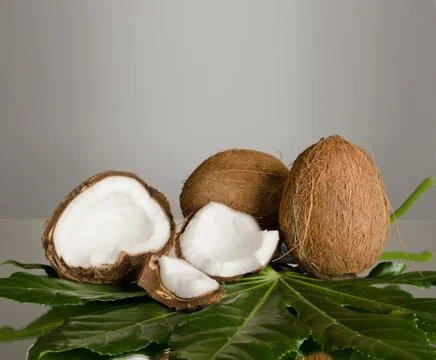 Coconut Stock Photos