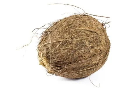 Coconut Stock Photos