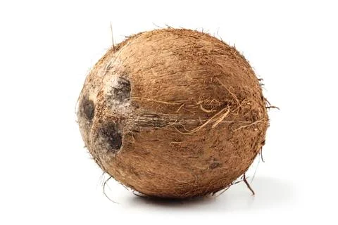 Coconut Stock Photos