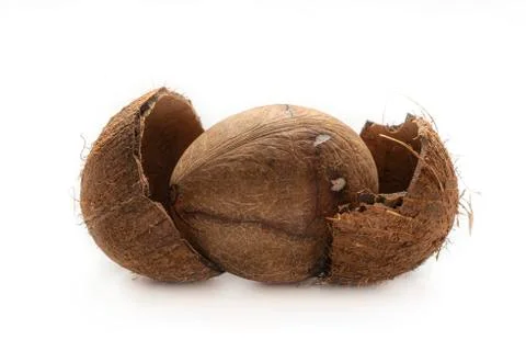 Coconut Stock Photos