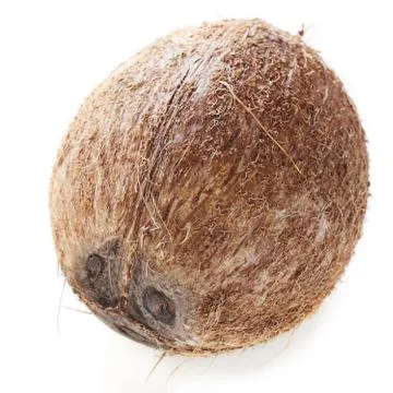 Coconut Stock Photos