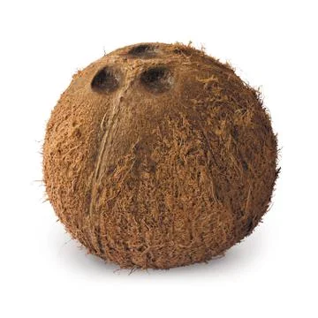 Coconut Stock Photos