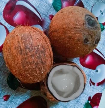 Coconut Stock Photos