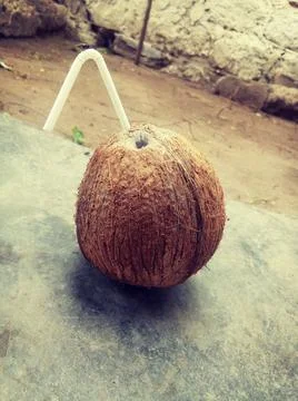 Coconut Stock Photos