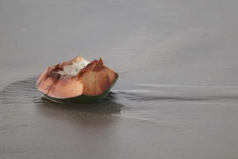 Coconut Stock Photos