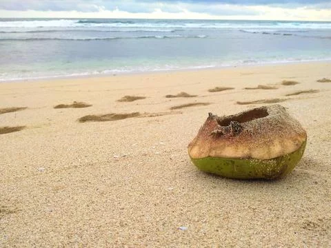Coconut Foto stock