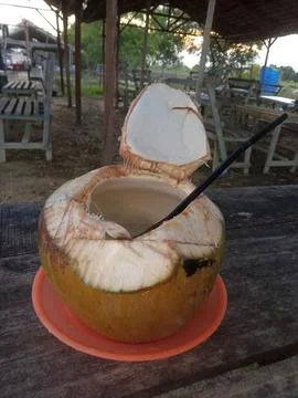 Coconut Stock Photos