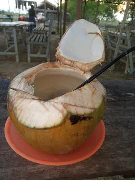 Coconut Stock Photos