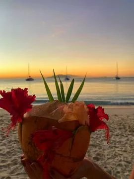 Coconut Stock Photos