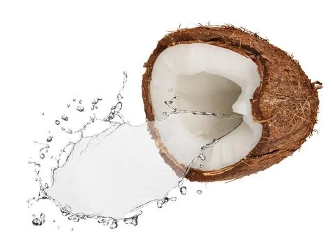 Coconut Stock Photos