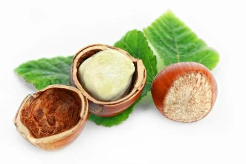 Coconut Stock Photos