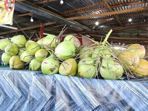 Coconut Stock Photos
