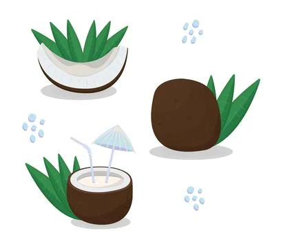 Coconut pieces with leaves Stock Illustration