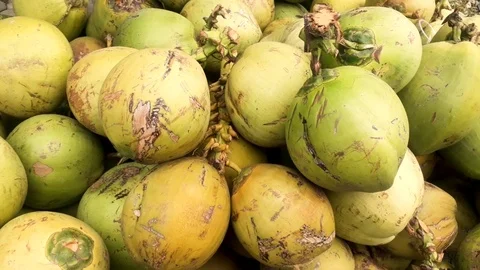 Coconut piled on the ground Stock Footage 102647889
