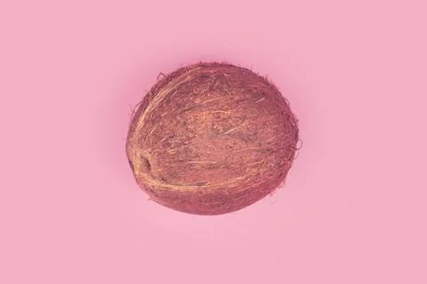 Coconut on a pink background isolate, copyspace, layout Stock Photos