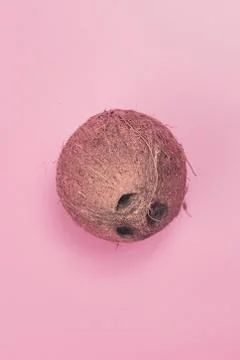 Coconut on a pink background isolate, copyspace, layout Stock Photos