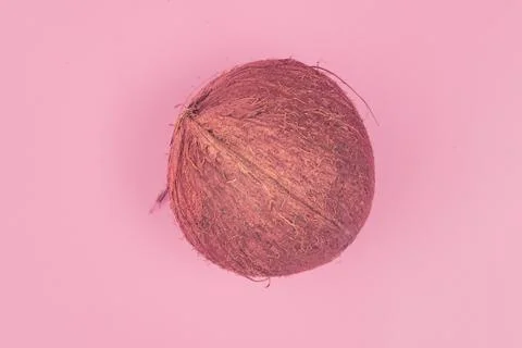 Coconut on a pink background isolate, copyspace, layout Stock Photos