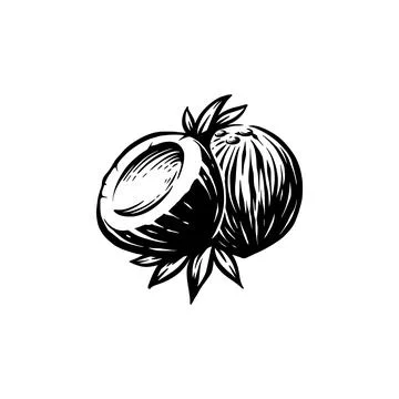 Coconut retro silhouette illustration Stock Illustration