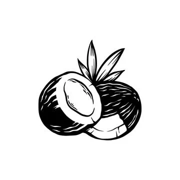 Coconut retro silhouette illustration Stock Illustration