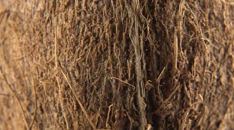 Coconut Rotating _ Loopable Macro Close Up Of Detail And Texture Stock Footage 61170607