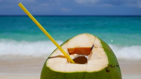 Coconut on a sand UHD 動画素材 61488675