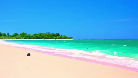 Coconut on sandy beach washed by white-crested waves of azure tropical sea Stock Footage 72783270