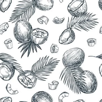Coconut seamless pattern. Hand drawn sketch vector illustration of broken c.. Illustrazione stock
