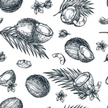 Coconut seamless pattern. Hand drawn sketch vector illustration of broken c.. Stock Illustration