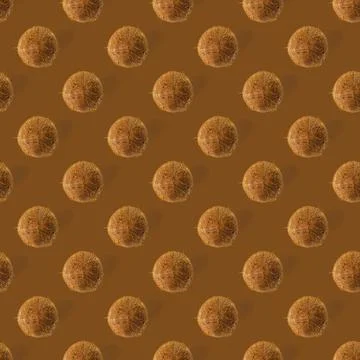 Coconut Seamless pattern. Tropical abstract background with isolated Coconut on Foto stock