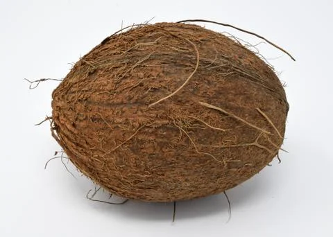 Coconut seed Stock Photos