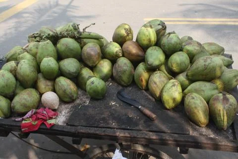 Coconut seller Stock Photos