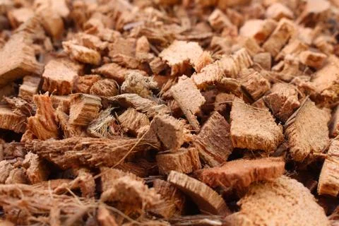 Coconut shell background Foto stock