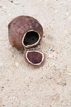 Coconut shell on the beach Stock Photos