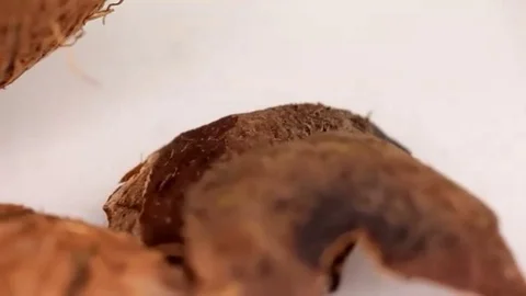 Coconut shell broken Stock Footage 98247499