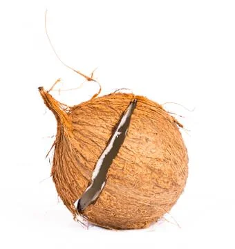 Coconut shell casing Foto stock