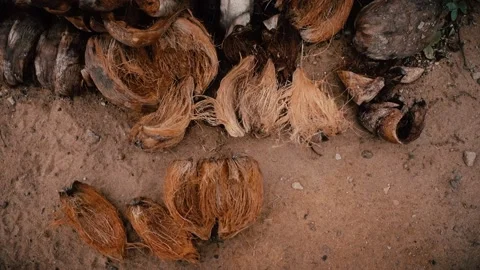 The coconut shell Stock Footage 94960661