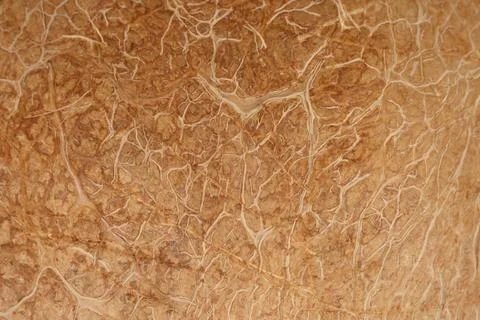 Coconut shell inner surface macro texture background Stock Photos