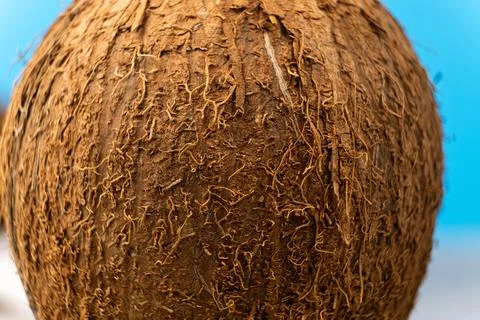 Coconut shell macro, brown coconut exterior view. Stock Photos
