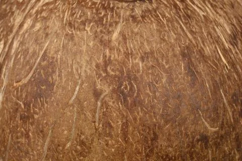 Coconut shell outer texture full frame background Stock Photos
