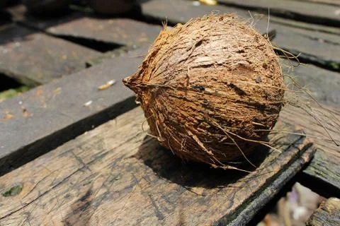 Coconut shell Stock Photos