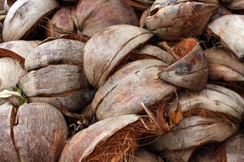 Coconut shell Stock Photos