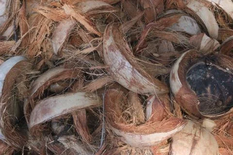 Coconut shell Stock Photos