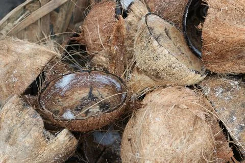 Coconut shell Stock Photos