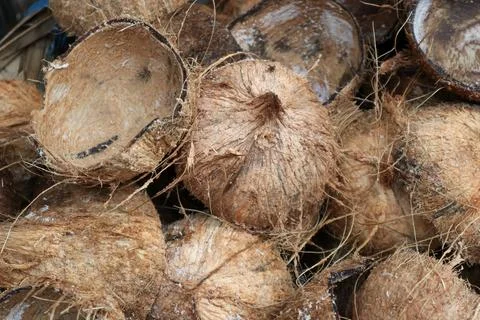 Coconut shell Foto stock