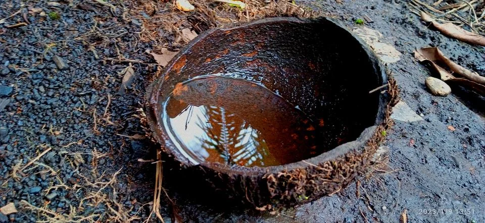 Coconut shell Stock Photos