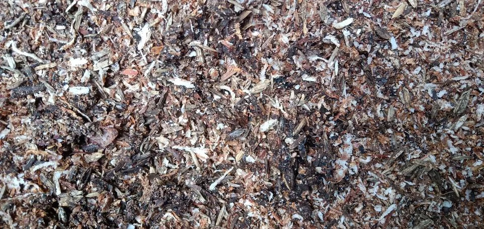 Coconut Shell Powder Stock Photos
