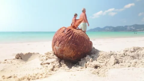 Coconut Shell in Sand as Senior Couple Walks Along Chaweng Beach, Koh Samui Stock Footage 337447301
